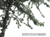 IMG_1976.webp