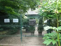 Baumschutz4.webp