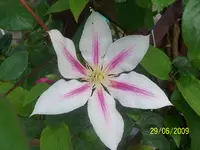 100_1913.webp