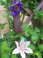 100_1914.webp