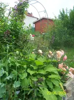 100_1921.webp