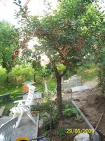 100_1924.webp
