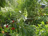 P1070070_600_450.webp
