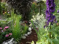 P1070064_600_450.webp