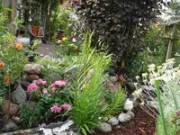 P1070063_600_450.webp