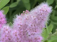 DSC03975.webp
