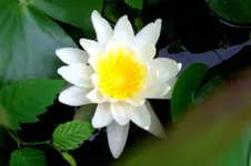 CIMG5649.webp