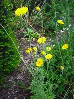 20.06.09 2 005.webp