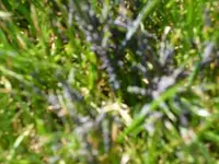 P1020716.webp