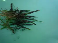 P1020720.webp