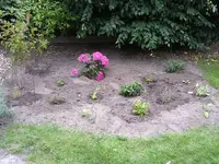 Juni 010.webp