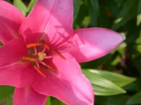 DSCN7106.webp