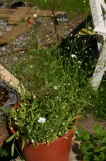 IMG_5791.webp