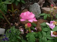 P1070058_600_450.webp