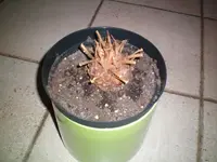 000_0007.webp