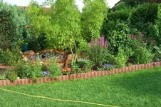 CIMG5593.webp
