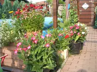 Garten 01.7.09 003.webp