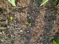 CIMG0922.webp