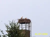 SA500351.webp