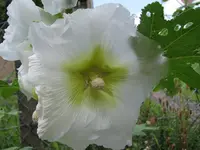 IMG_1578 30%.webp