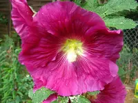 IMG_1589 30%.webp