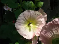 IMG_1592 30%.webp