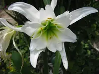 IMG_1581 30%.webp