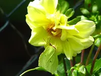 IMG_1582 30%.webp