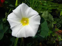 IMG_1584 30%.webp