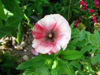 IMG_1587 30%.webp