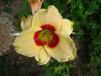 IMG_1588 30%.webp