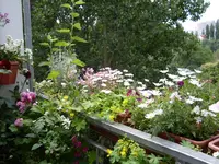 SDC10361.webp