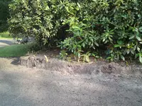DSC00041.webp