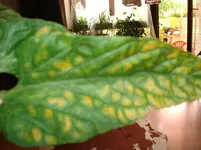 DSC06160.webp