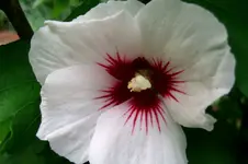 CIMG5655.webp