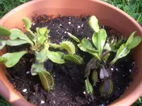 IMGP4915.webp