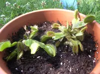IMGP4916.webp