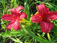 IMG_new note1_1024x768.webp