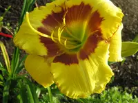 IMG_sämling 1008_1024x768.webp