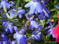 PICT3333.webp