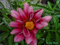 PICT3184.webp