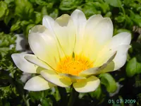 PICT3244.webp