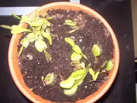IMGP4927.webp