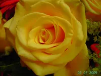 PICT3340.webp