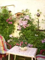 bild 14neu.webp