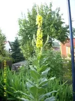 bild 11 neu.webp