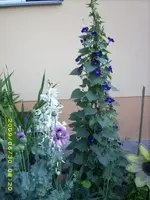bild 7 neu#.webp