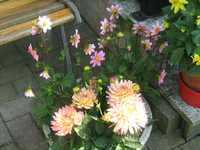 IMG_2023.webp
