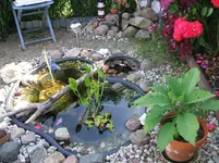2009_0623Juni0019.webp