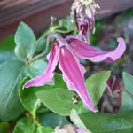 P1070103_800_800.webp